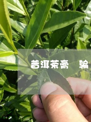 普洱茶膏 骗/2023042625747